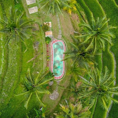Pesona Bali Ecolodge By Agata ジャティルウィ エクステリア 写真