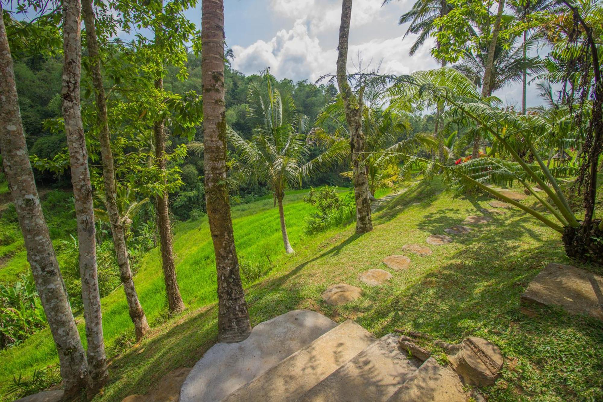 Pesona Bali Ecolodge By Agata ジャティルウィ エクステリア 写真