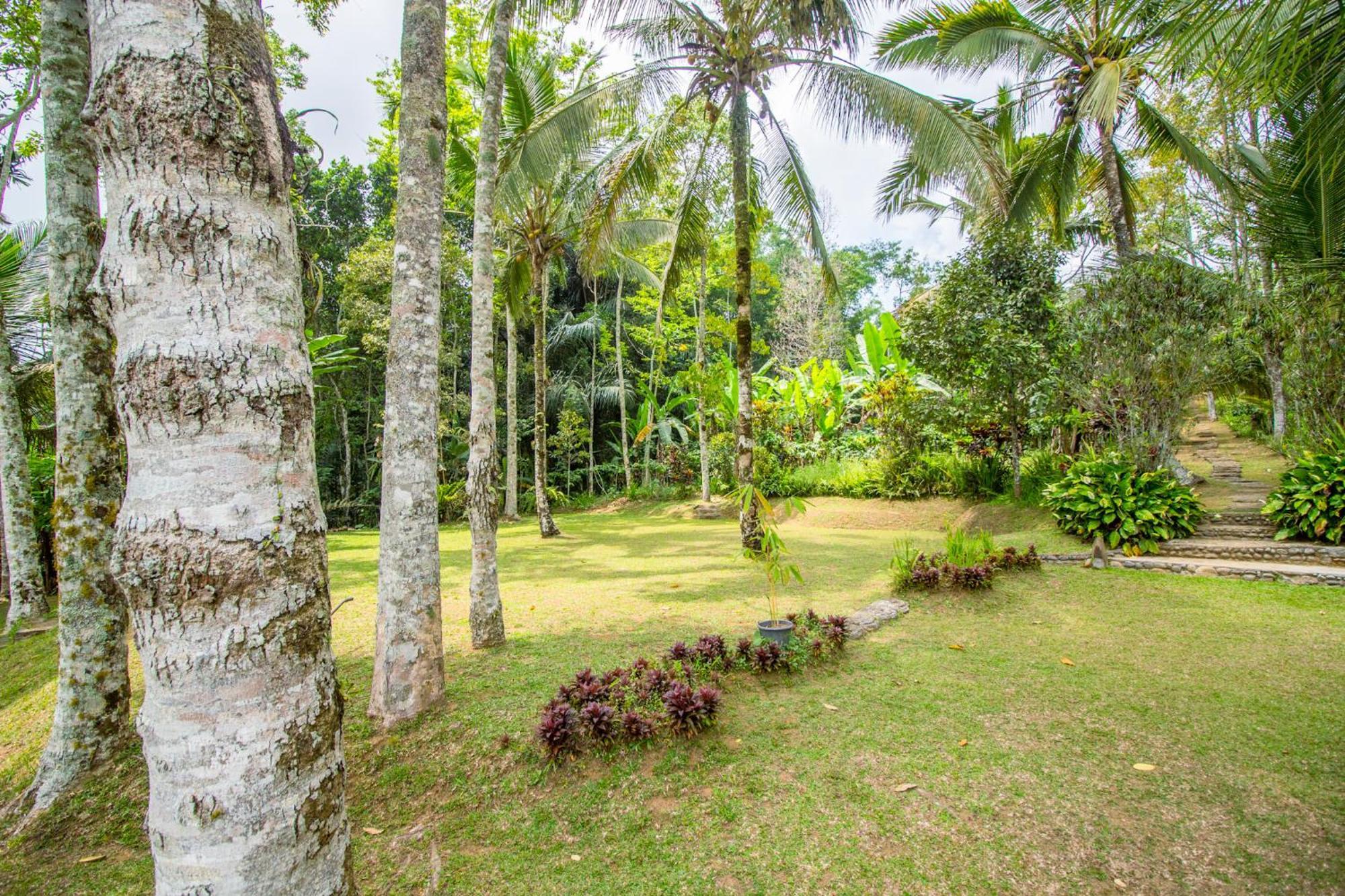 Pesona Bali Ecolodge By Agata ジャティルウィ エクステリア 写真