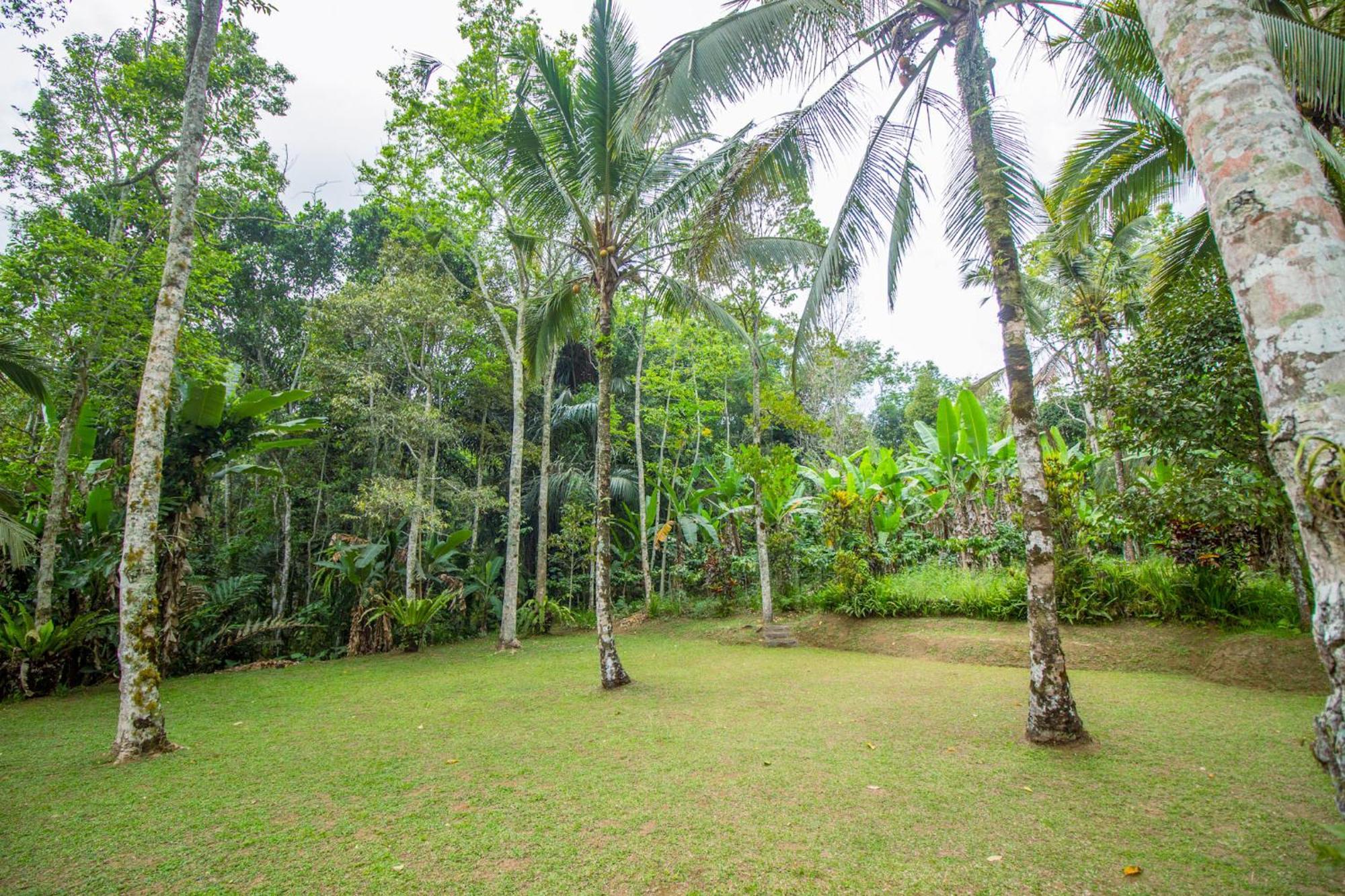 Pesona Bali Ecolodge By Agata ジャティルウィ エクステリア 写真